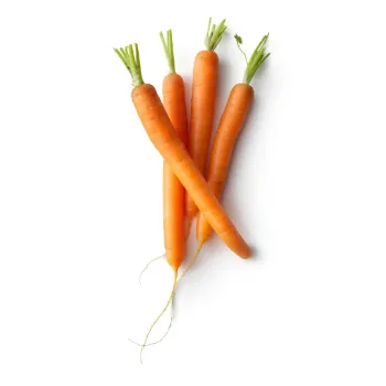 Fresh Red Carrot